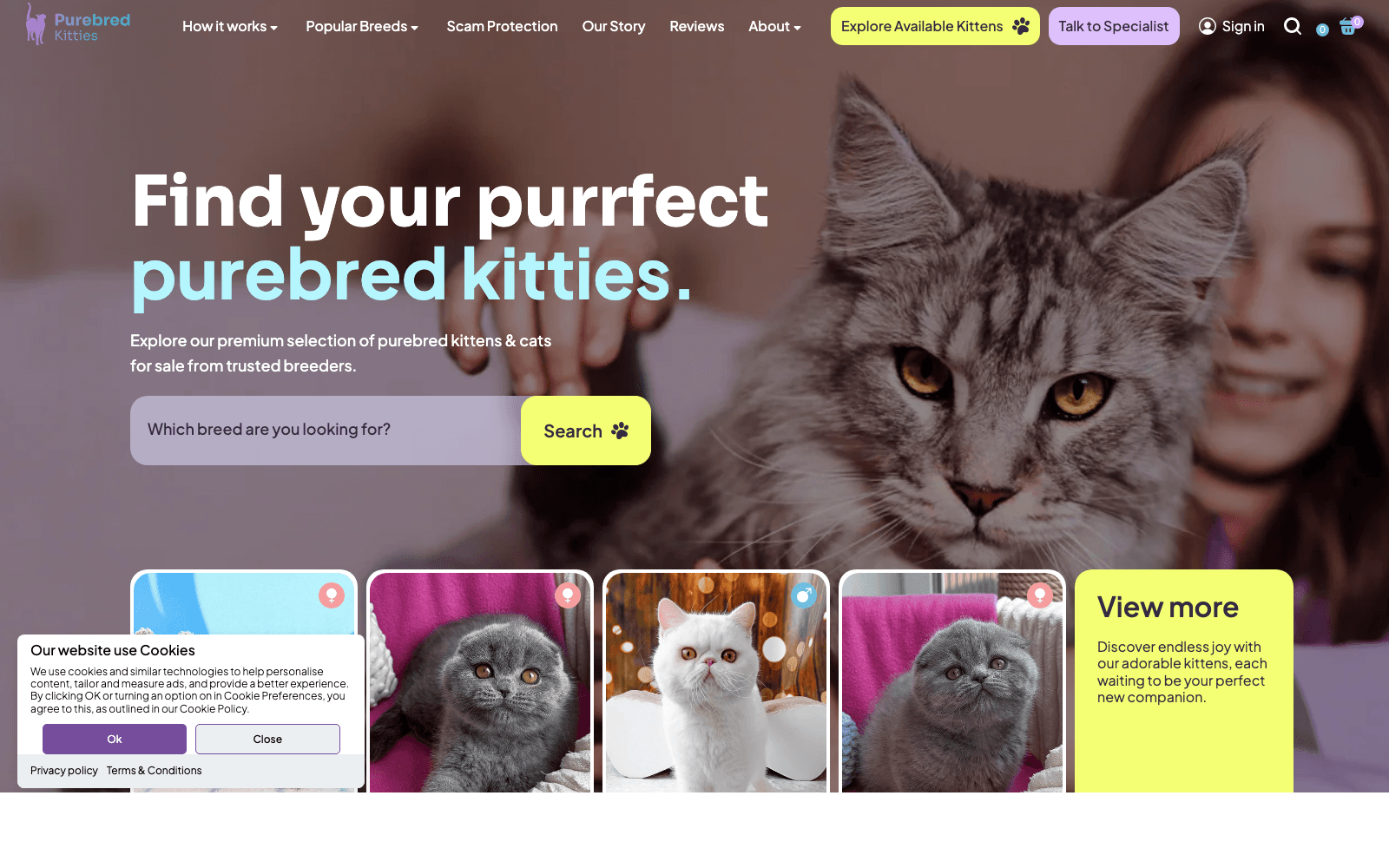 Purebred Kitties website screenshot